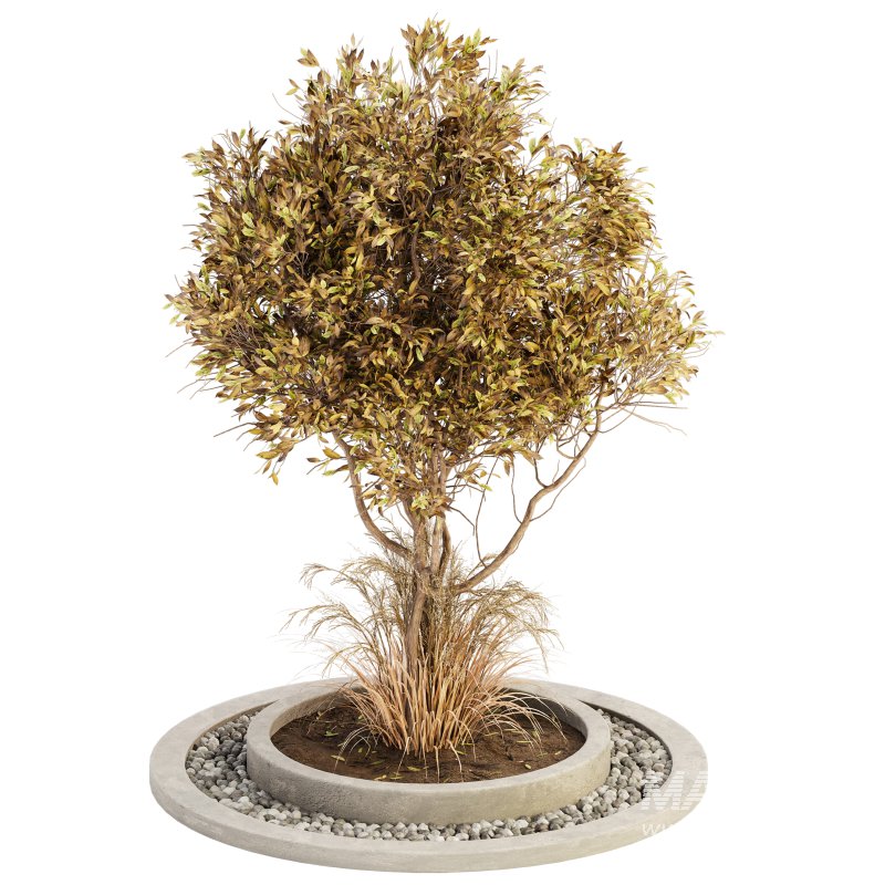 Outdoor Plant Set 017 - Image 3