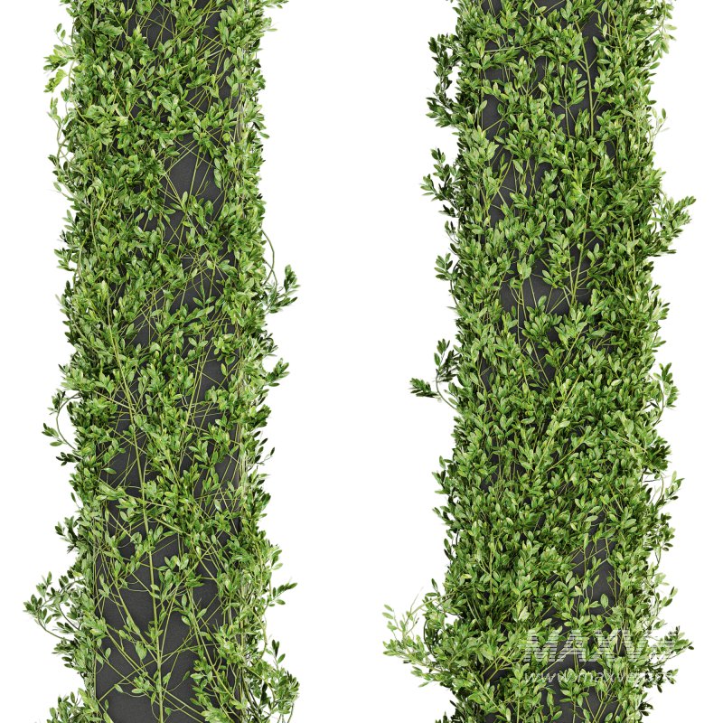 Outdoor Plant Set 012 - Image 2