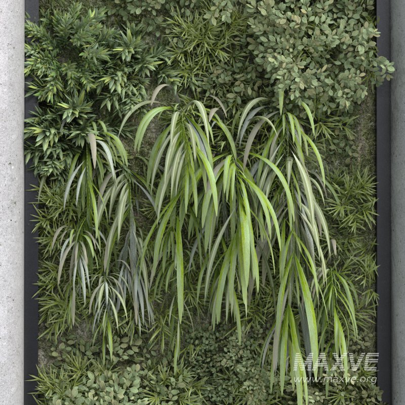 interior vertical plant green wall set 342 - Image 2