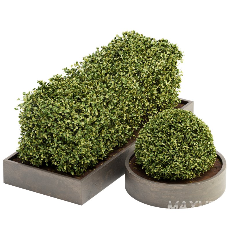 Outdoor Plant Set 06 - Image 1