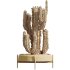 AV HousePlants Cactus Euphorbia Ingens Candelebra Saguaro Peruvian - Thumbnail 2