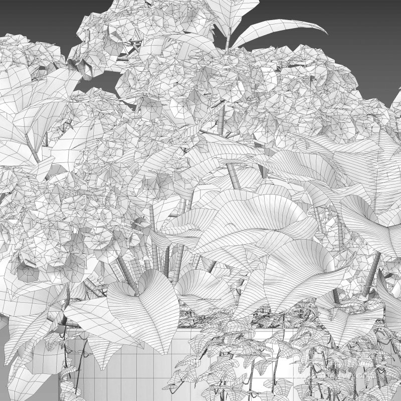 Pot plant 03 - Image 5