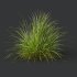 AV 6 different grasses Pennisetum Alopecuroides Lampenputzergras Fountain Hameln and Carex Elata Aurea Grass Version2 - Thumbnail 7