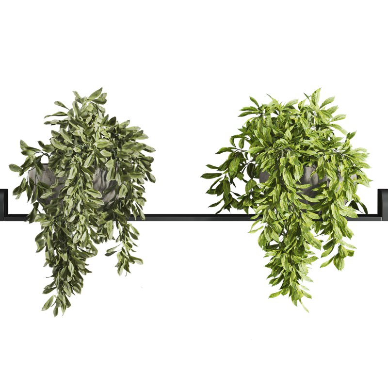 plants set - Image 2