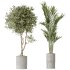 AV Indoor plants set 183 Areca Majesty Palm and ParadiseBird and Lemon Lime Cane Dragon and Olive Artificial and Aloifolia Rostrata Palm - Thumbnail 1