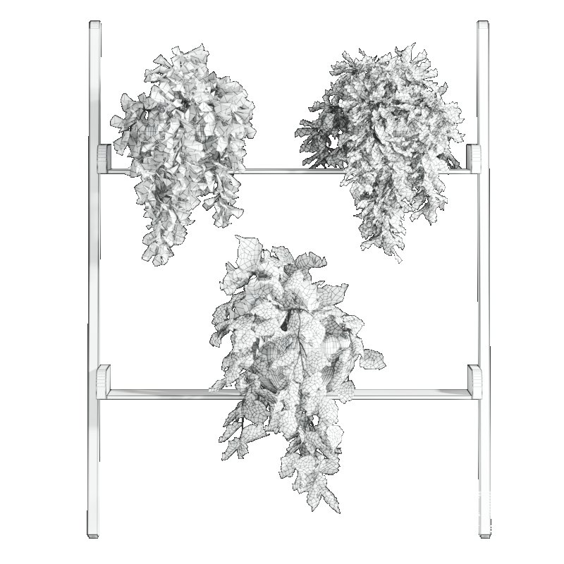 plants set - Image 3