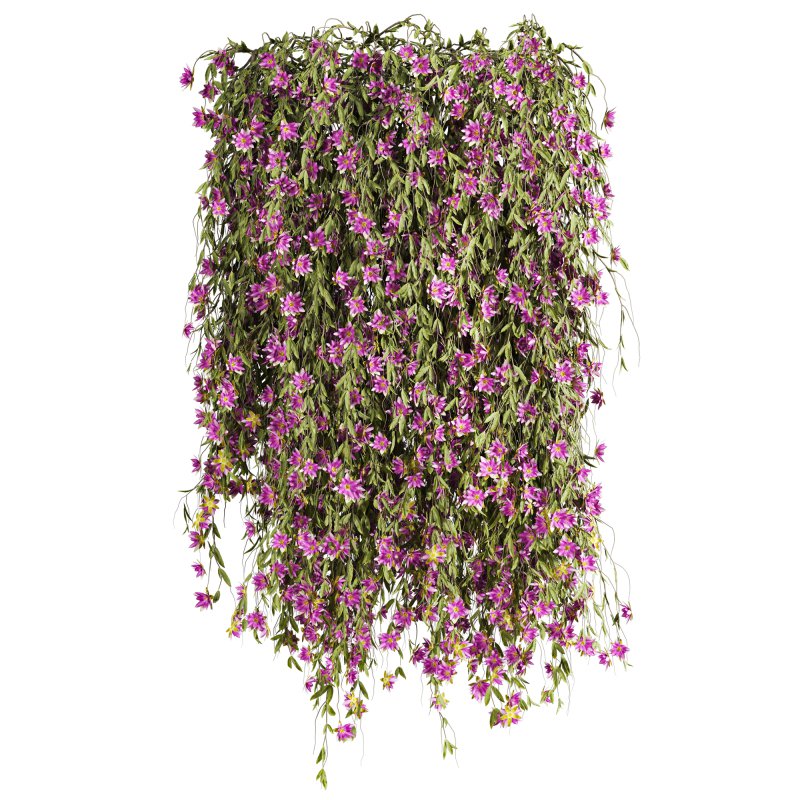 hanging plants - Image 1