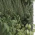 interior vertical plant set 337 - Thumbnail 2