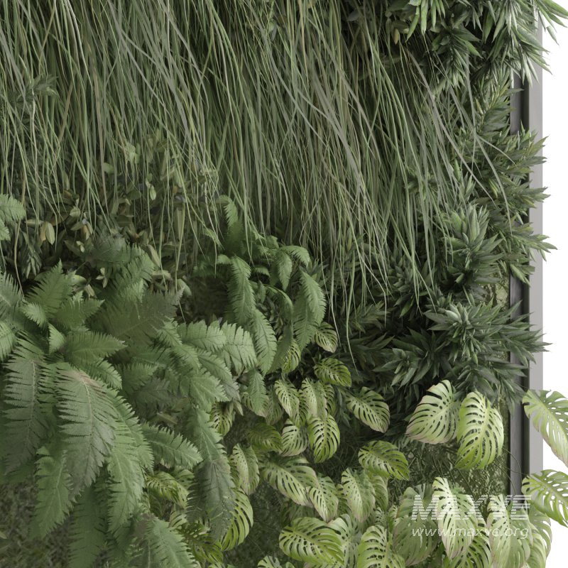 interior vertical plant set 337 - Image 2