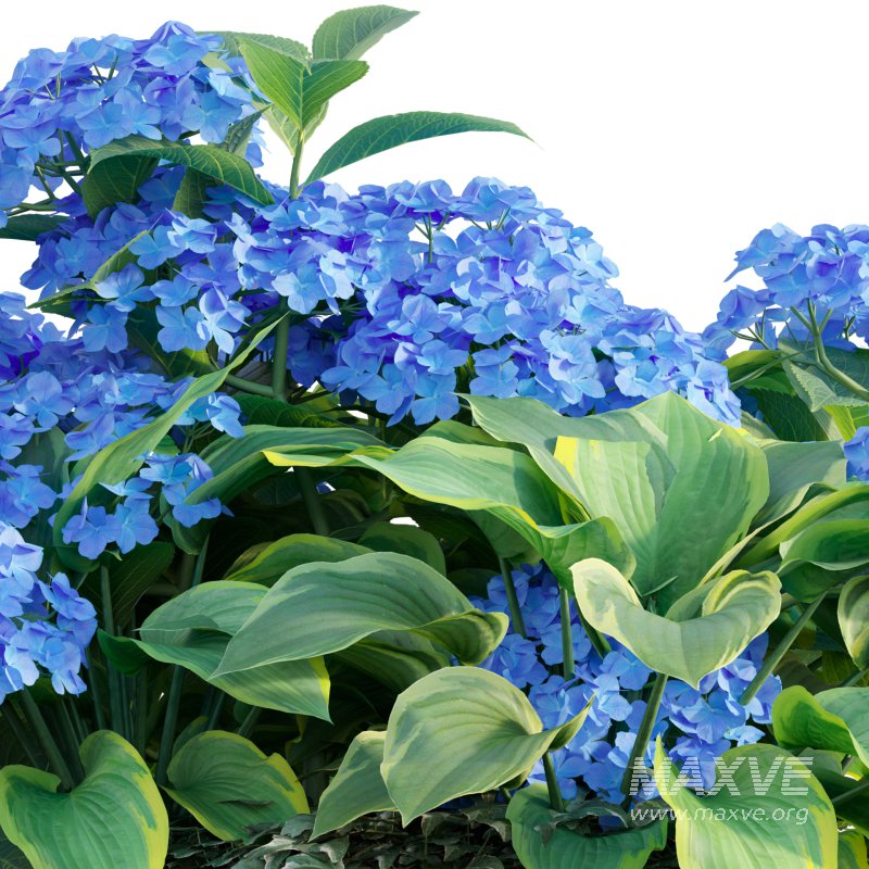 Pot plant 03 - Image 4