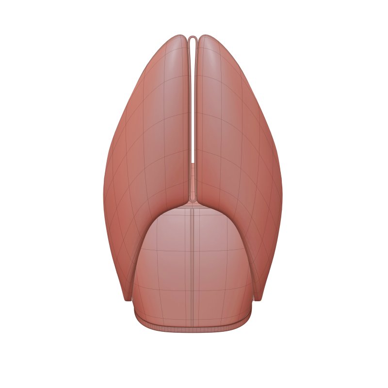 Anatolya_chair - Image 10