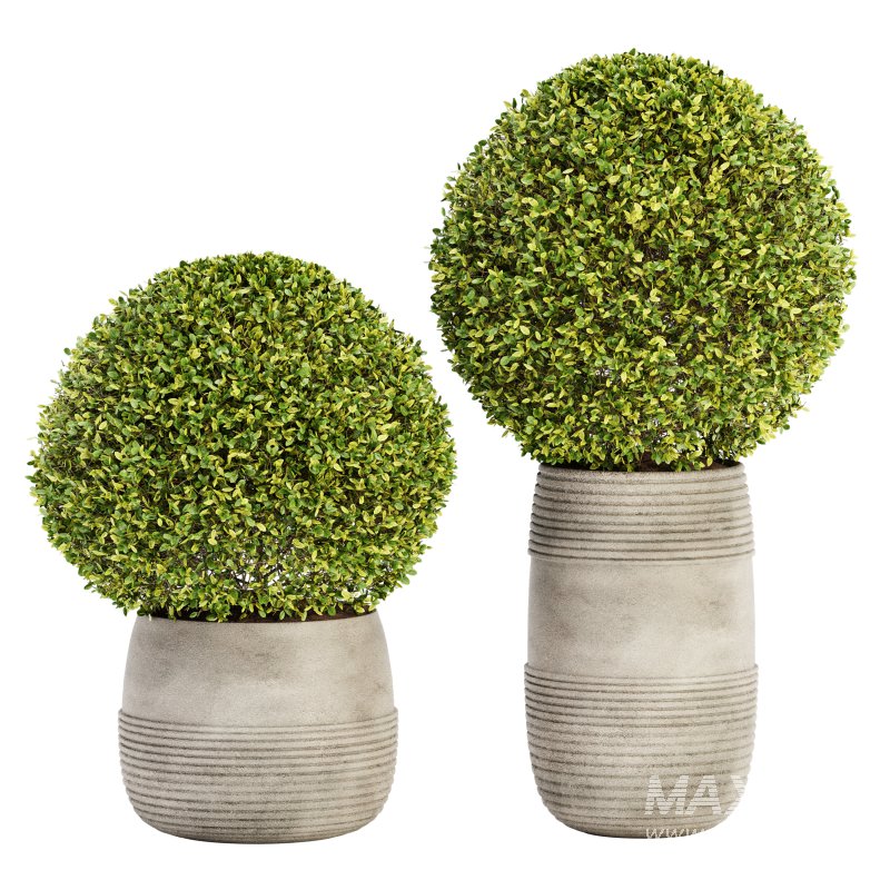 Outdoor Plant Set 05 - Image 1