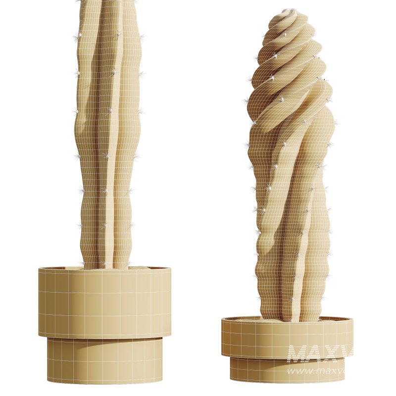 AV HousePlants Cactus Euphorbia Trigona Ingens Candelebra Tree - Image 3