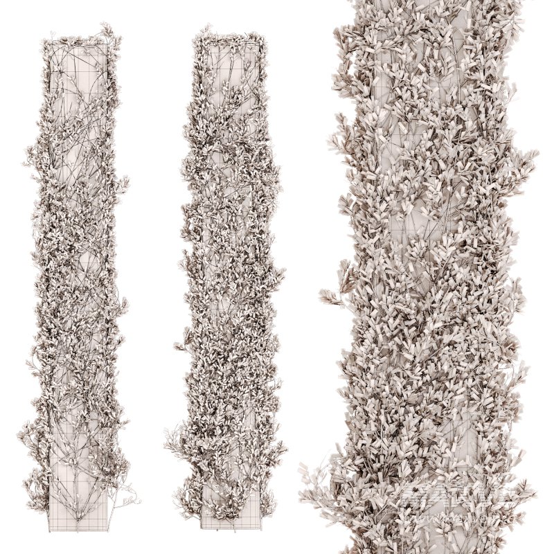 Outdoor Plant Set 012 - Image 4