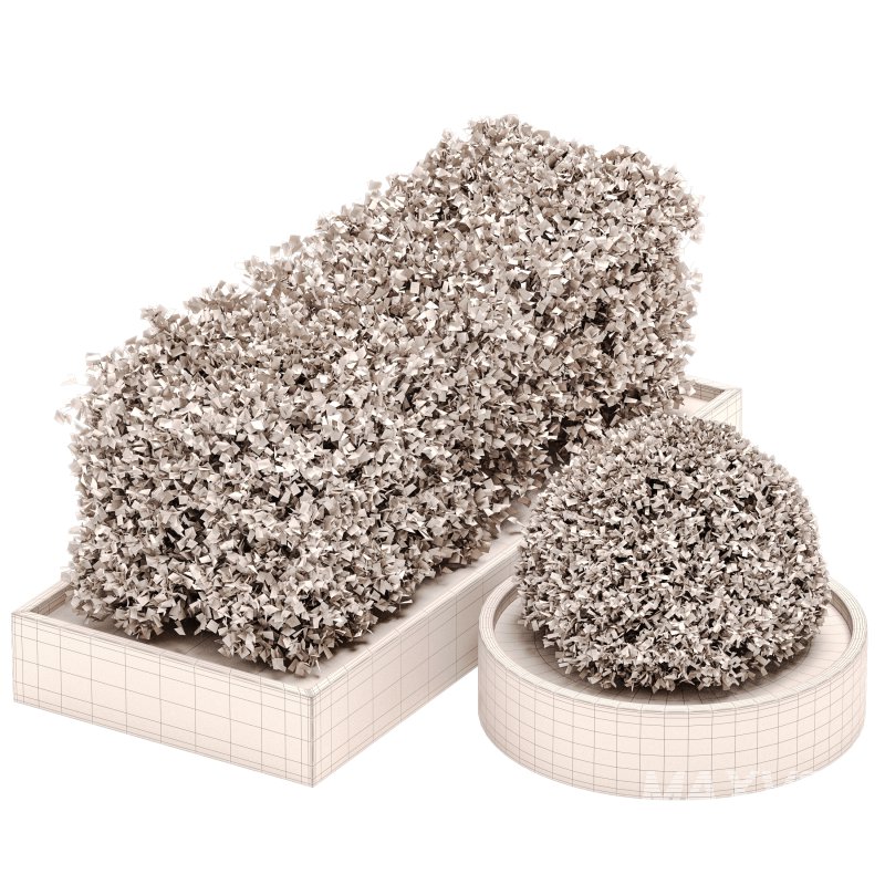 Outdoor Plant Set 06 - Image 4