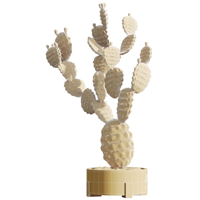 AV HousePlants Cactus Opuntia Tree - Image 4