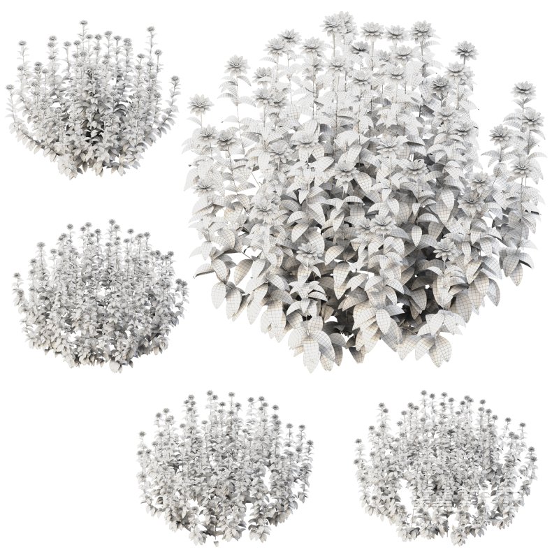 Wild flower bush - Image 1