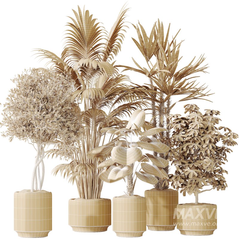 AV Indoor plants set 186 Olive Artificial and Arboricola Umbrella and Areca Palm and Rhapis Excelsa Lady Palm and Ruffled Fan Palm - Image 8