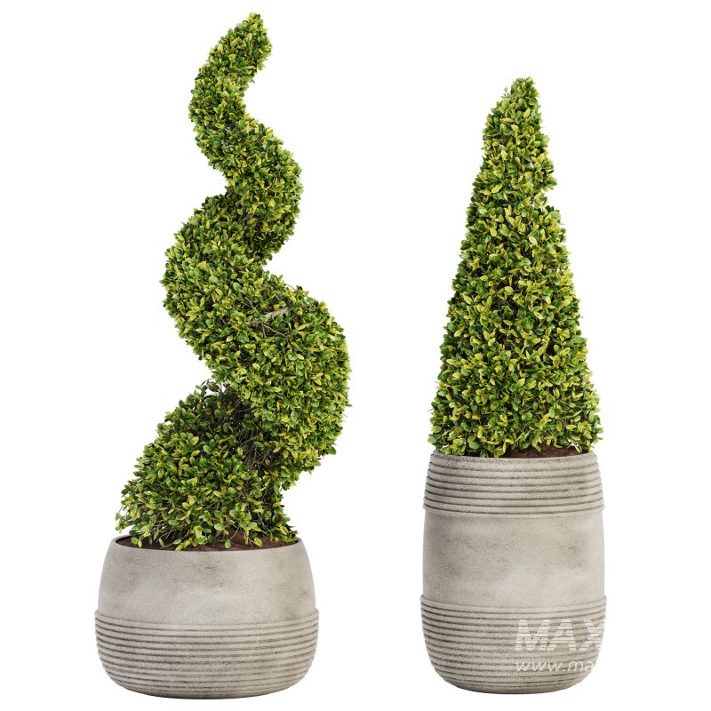 Outdoor Plant Set 03 - Image 1