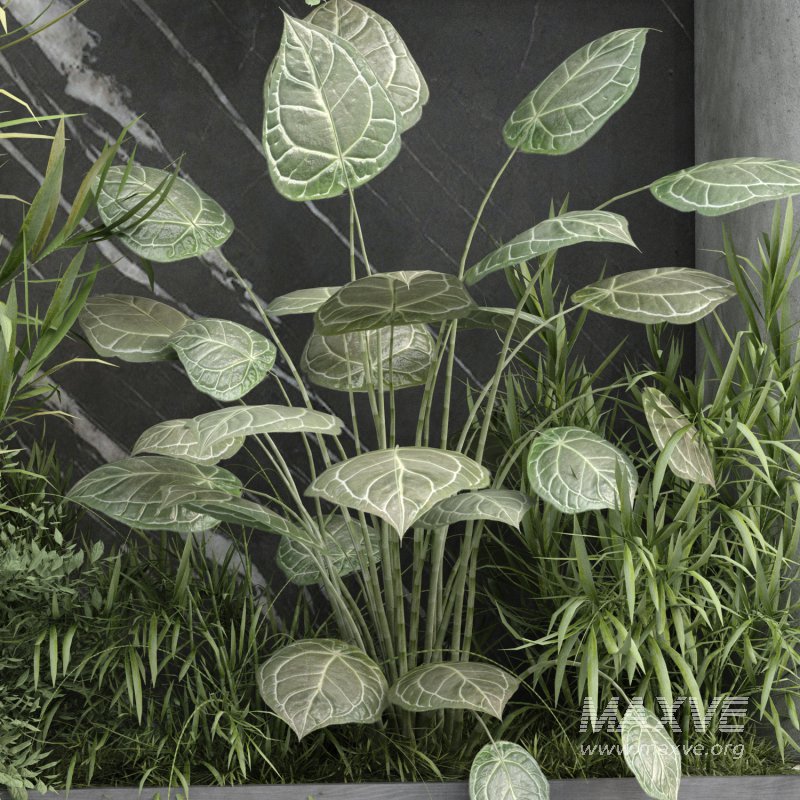 interior vertical partition and plant set 344 - Image 2