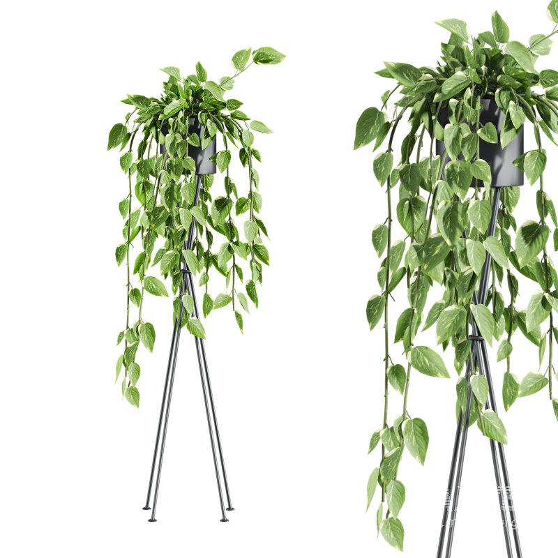 plants set - Image 1