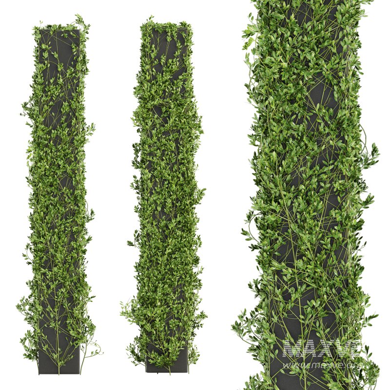 Outdoor Plant Set 012 - Image 3