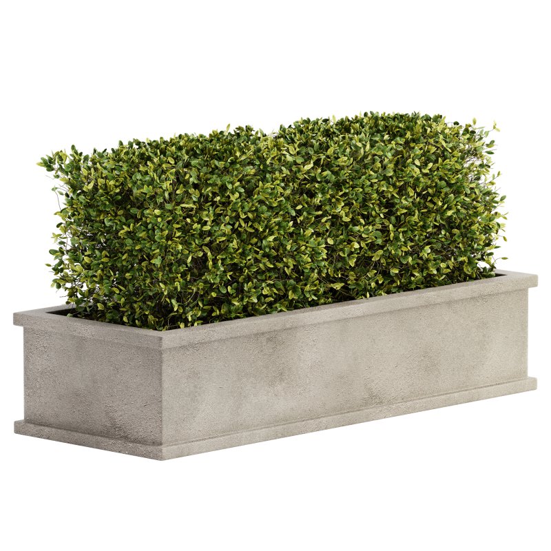 Outdoor Plant Set 04 - Image 2