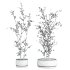 plants set - Thumbnail 3
