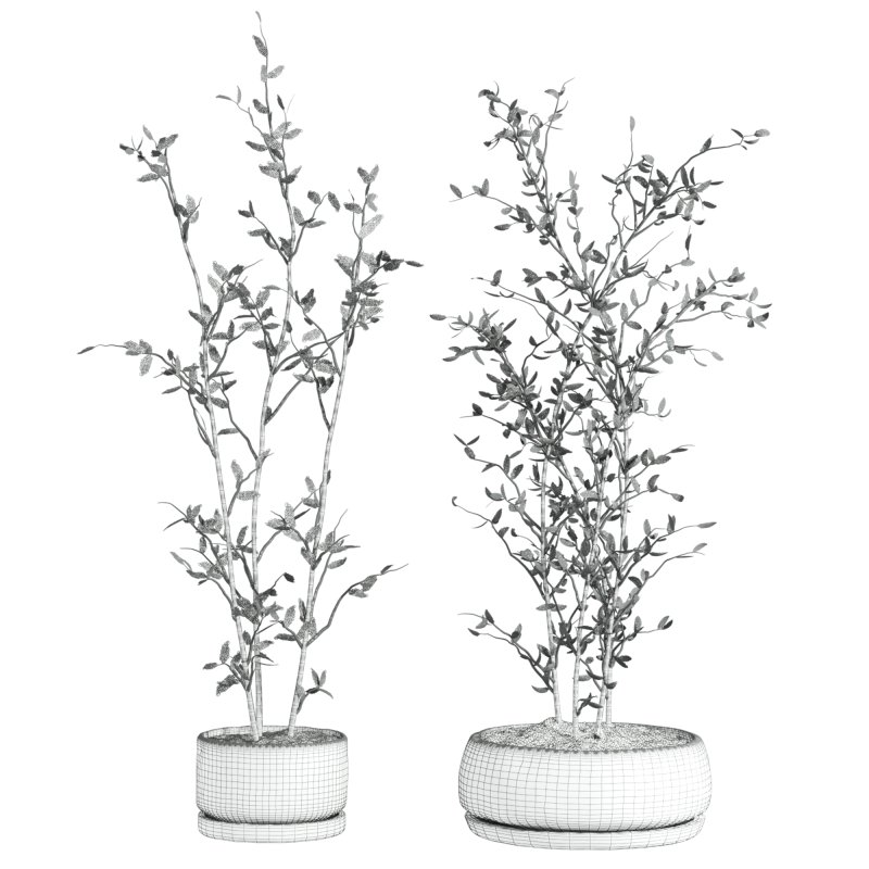 plants set - Image 3