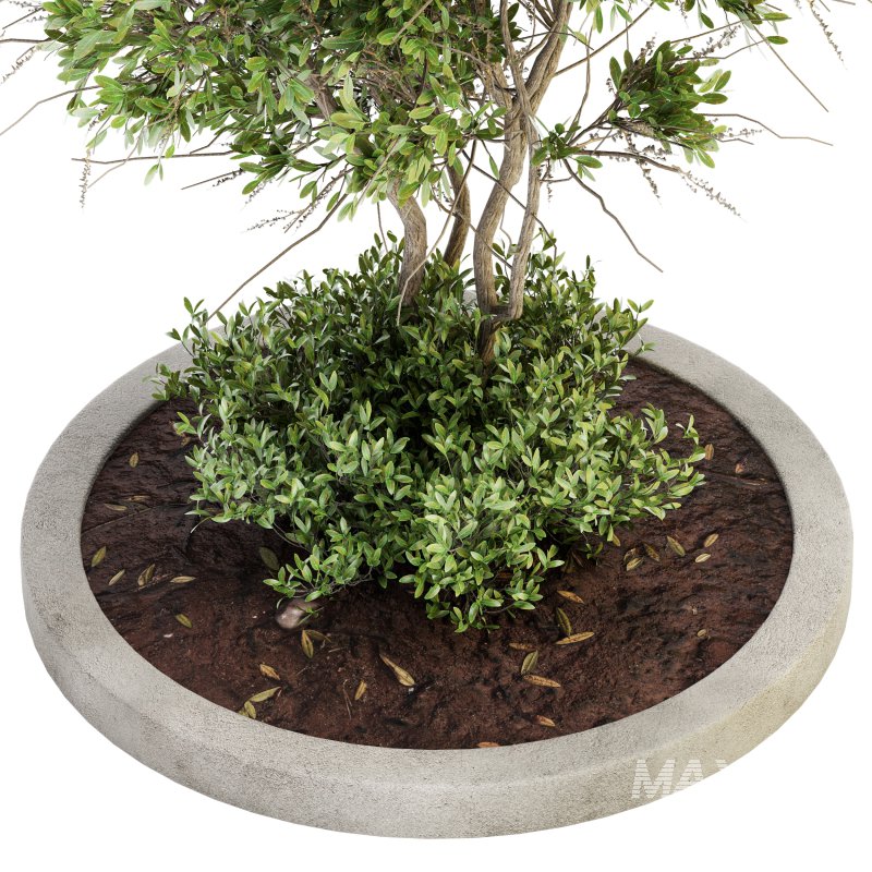 Outdoor Plant Set 011 - Image 3