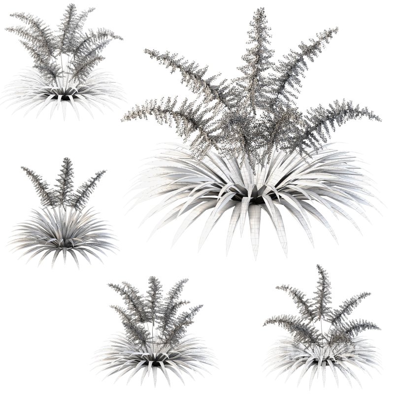 Lush garden shrub - Image 3