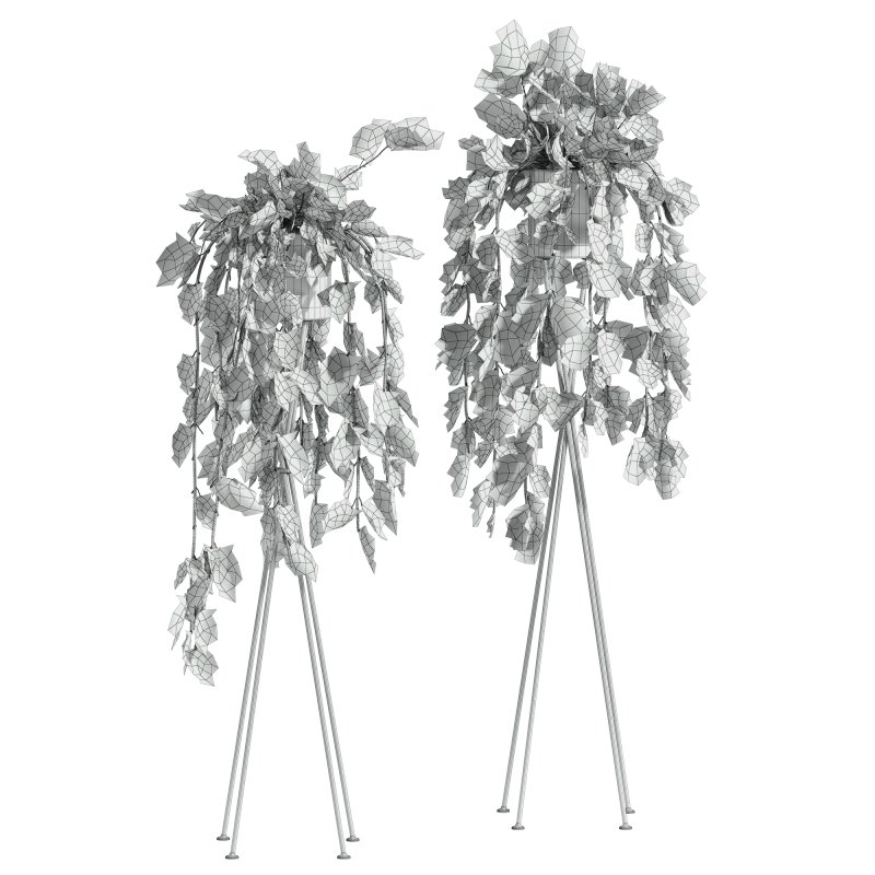 plants set - Image 3