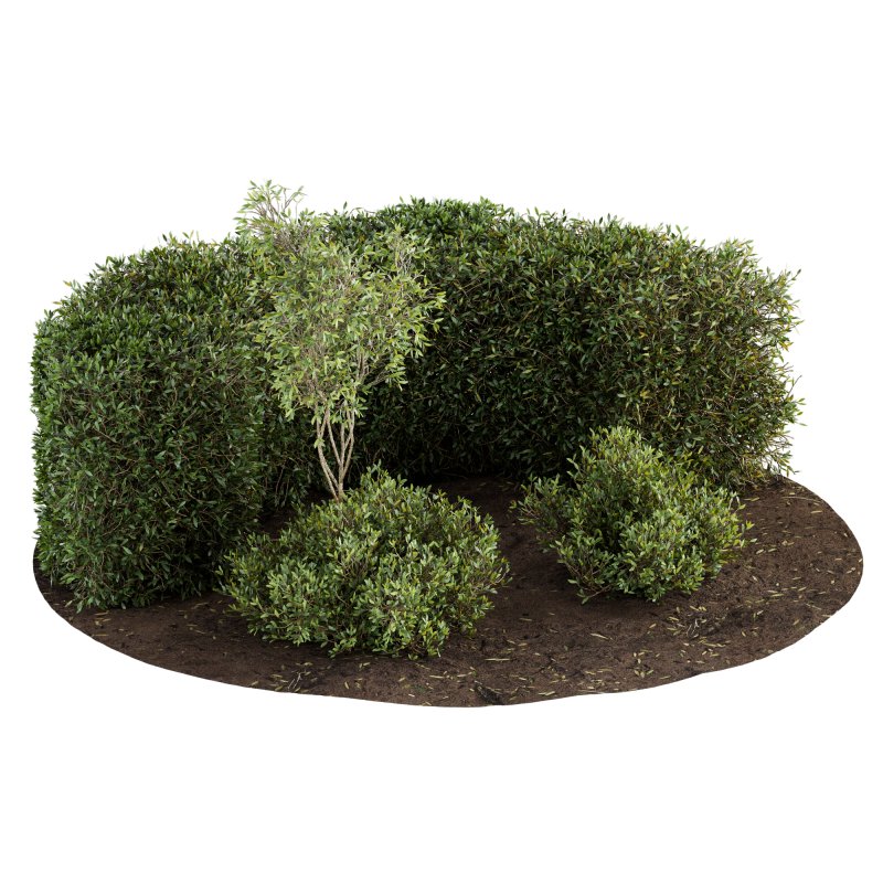 Outdoor Plant Set 08 - Image 2