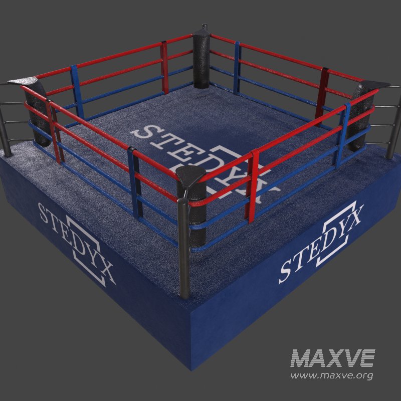 boxing ring - Image 8