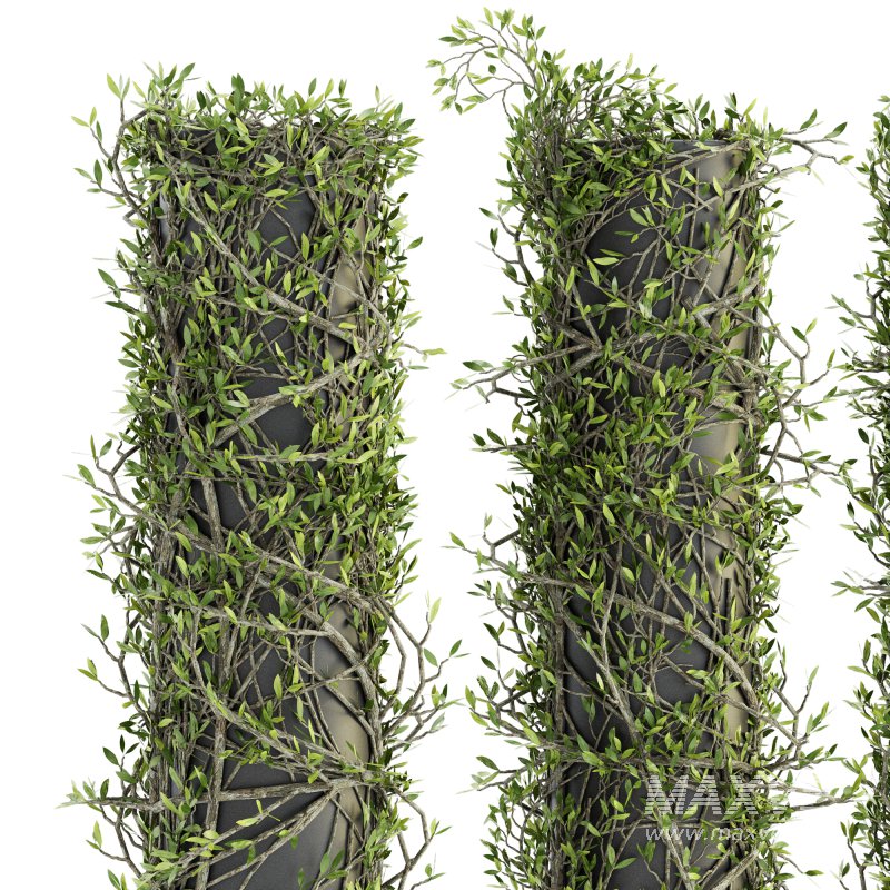 Outdoor Plant Set 09 - Image 3