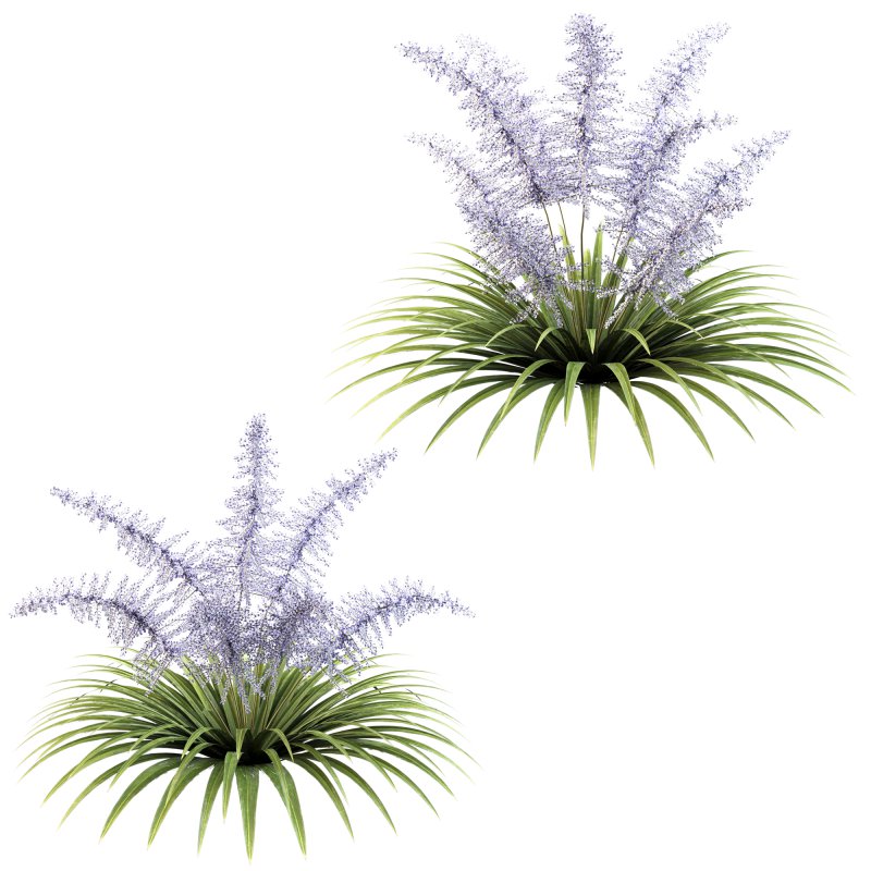 Lush garden shrub - Image 1