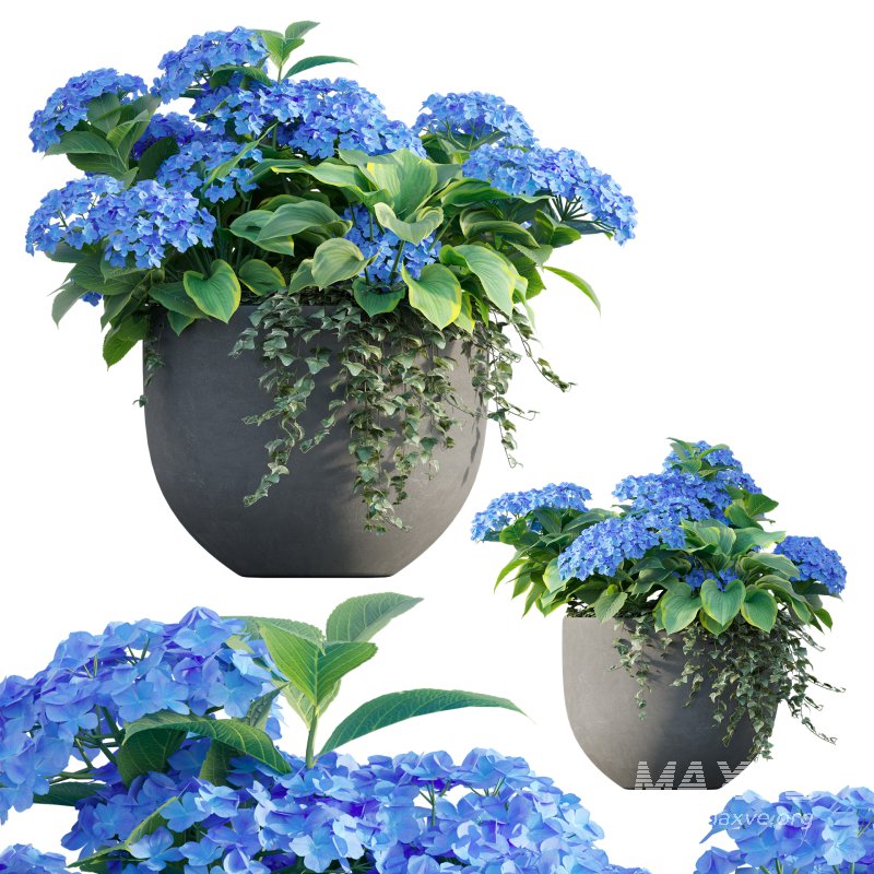 Pot plant 03 - Image 3