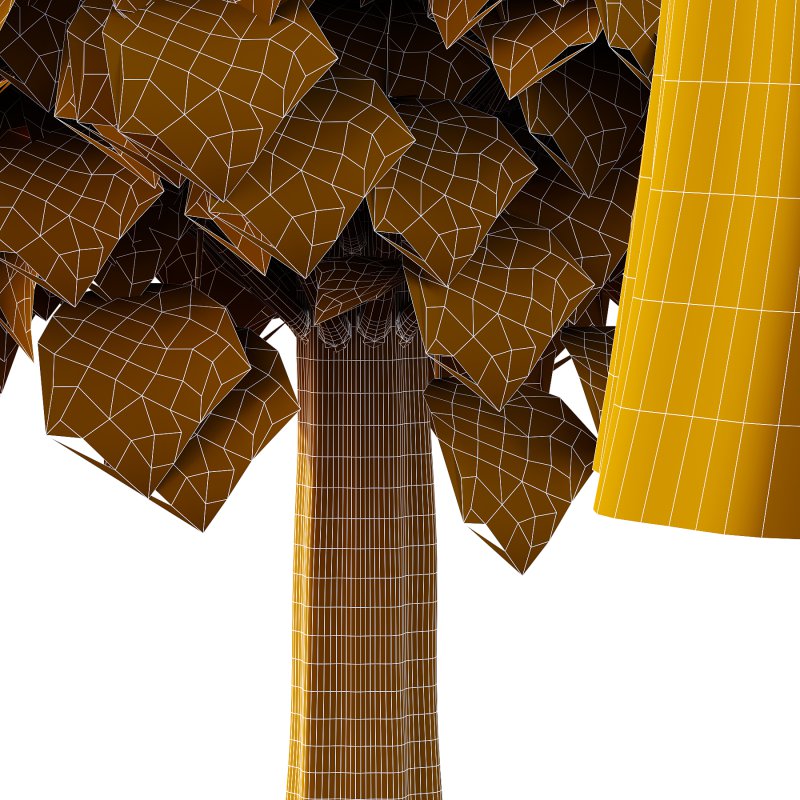 Catalpa Ovata Tree 01 - Image 6