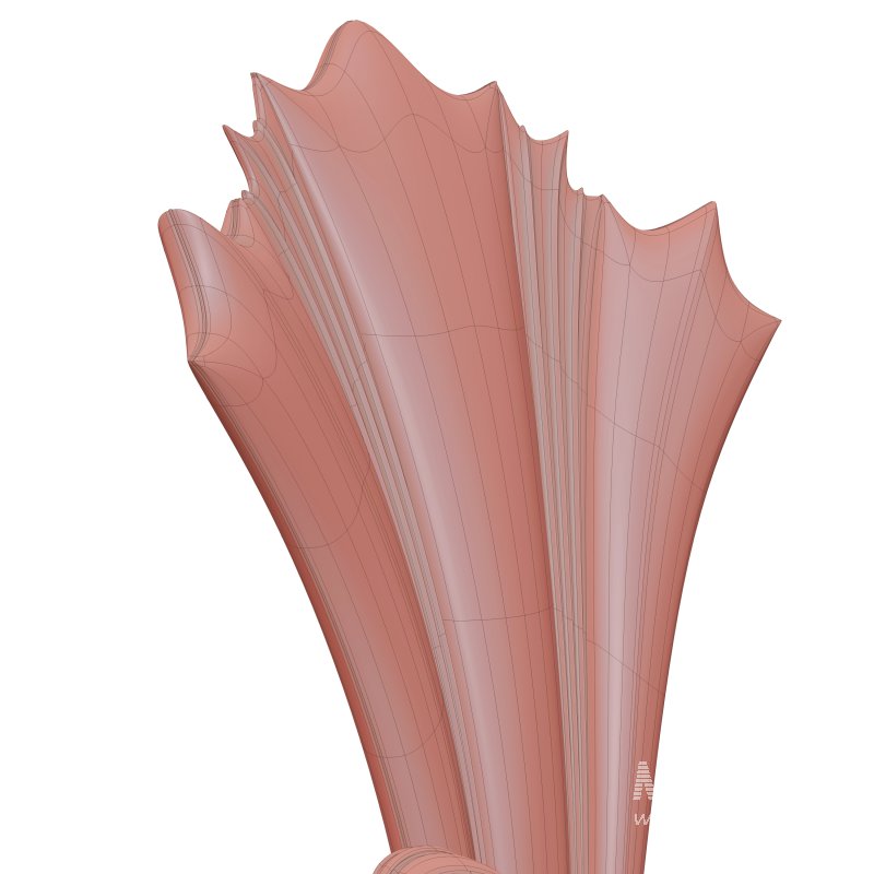 Mona Chair - Image 12