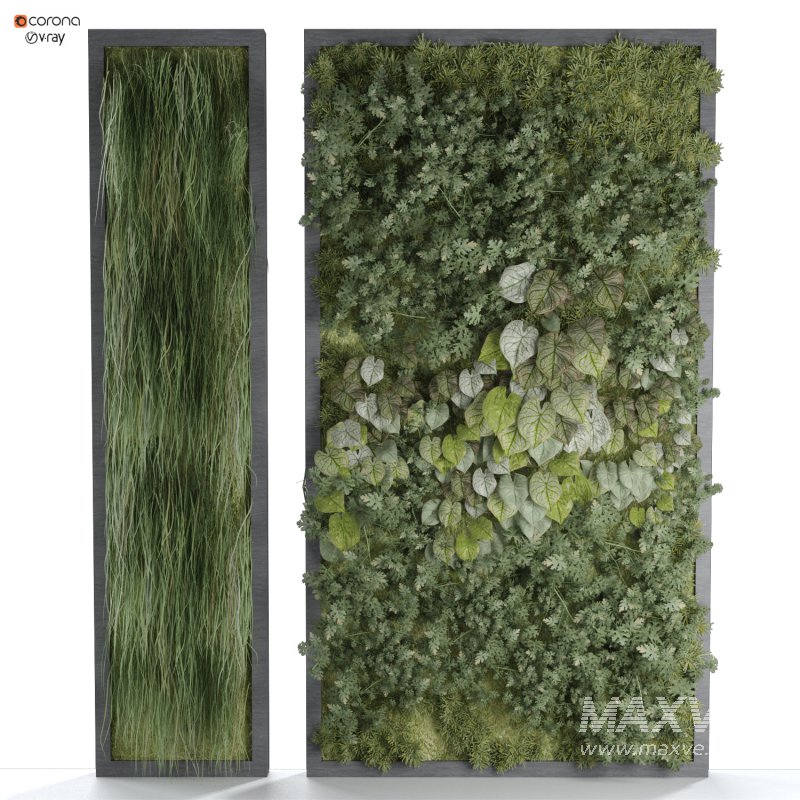 interior vertical plant set 338 - Image 1