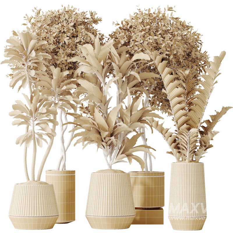 AV Indoor plants set 184 Olive Artificial Olea Tree and Zamiifolia Araceae and Lemon Lime Cane Dragon and Euphorbia Drupifera - Image 8