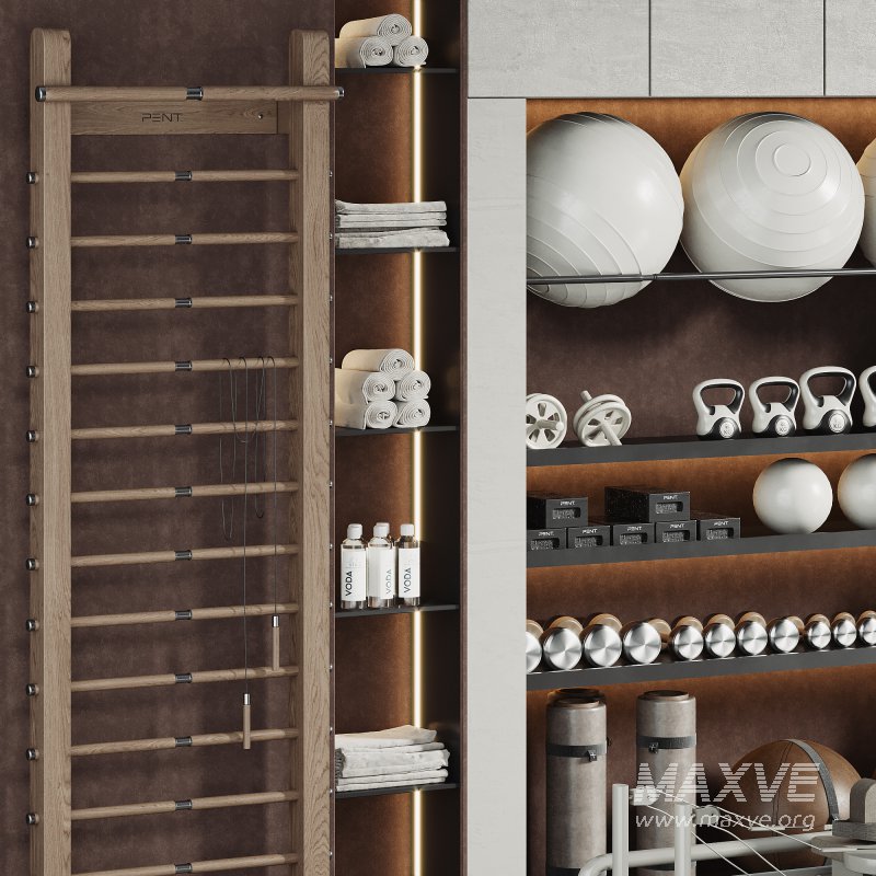 A Rack with gym equipment 01 - Image 2