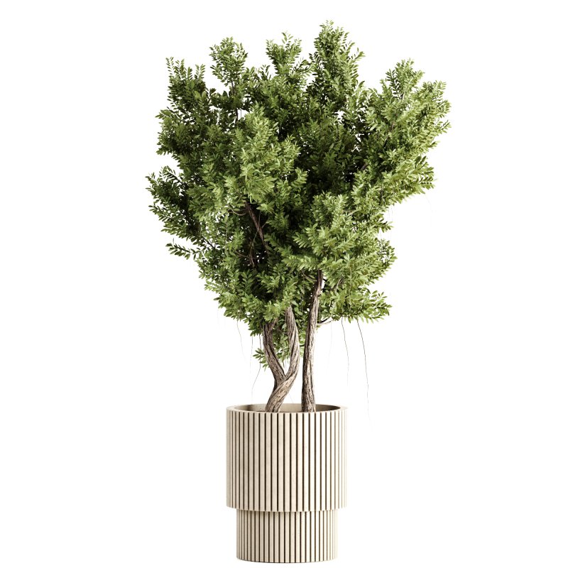 Indoor plants-Pot and tree set168 - Image 5