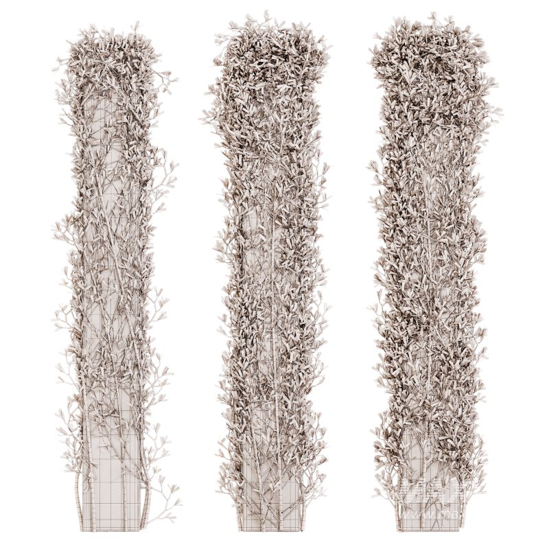 Outdoor Plant Set 010 - Image 3