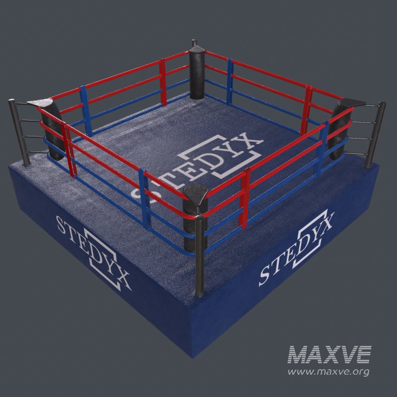 boxing ring - Image 7