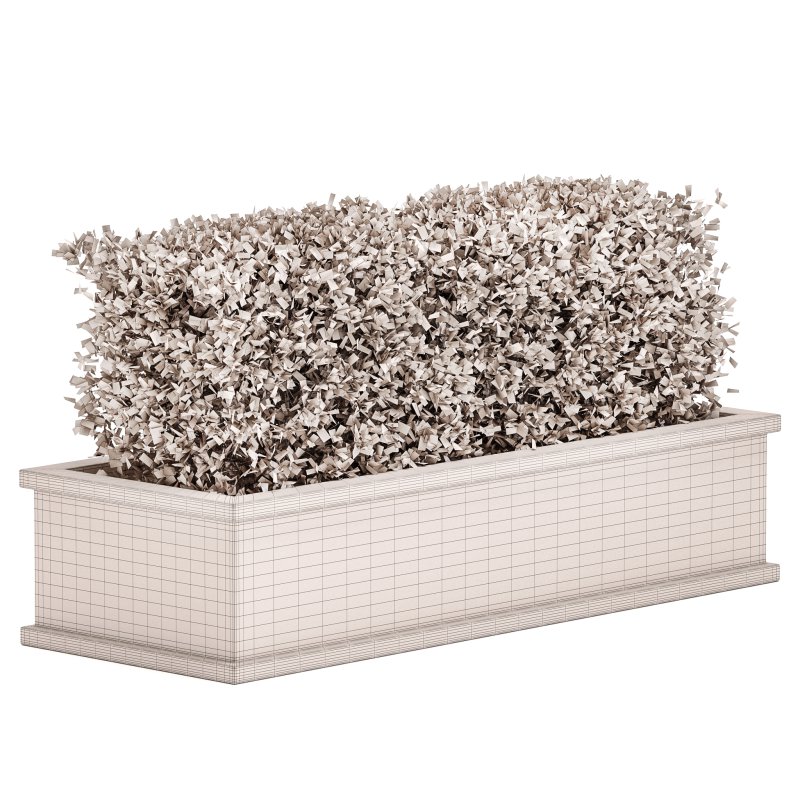 Outdoor Plant Set 04 - Image 4