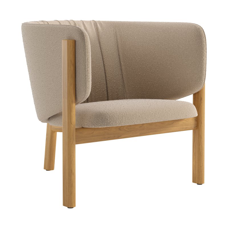 All In Lounge Chair - Image 1