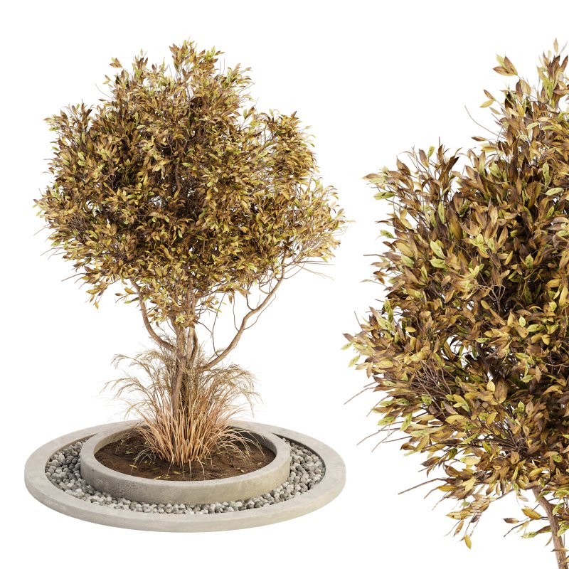 Outdoor Plant Set 017 - Image 1