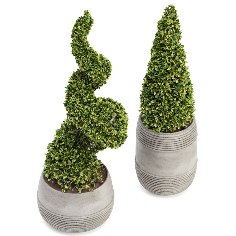 Outdoor Plant Set 03 - Image 2