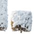 AV Plants Ligustrum Quihoui Privet Pruned Box Winter Snow - Thumbnail 1
